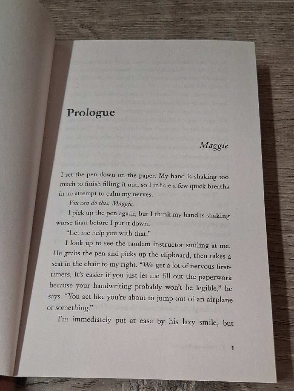 Maybe Now by Colleen Hoover - Blue Cover with Orange Accents - Picture 5 of 6